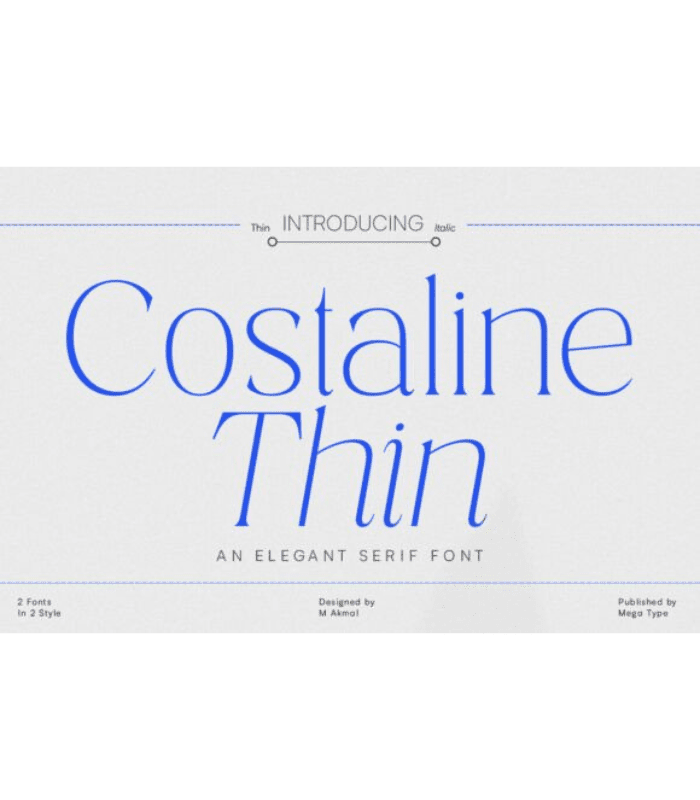 Photo Standart Size Costaline Thin Font - Image 1
