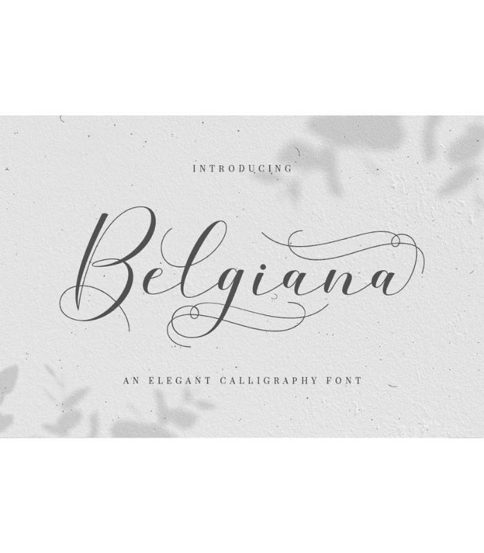 Photo Standart Size (9) Belgiana Font - Image 1