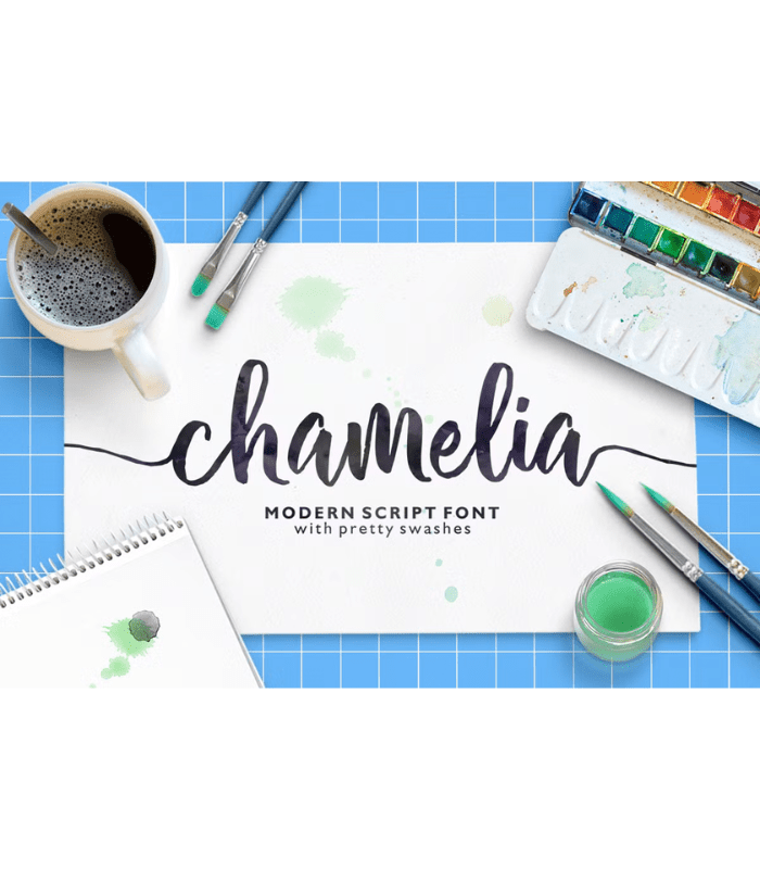 Photo Standart Size (9) Chamelia Font - Image 1