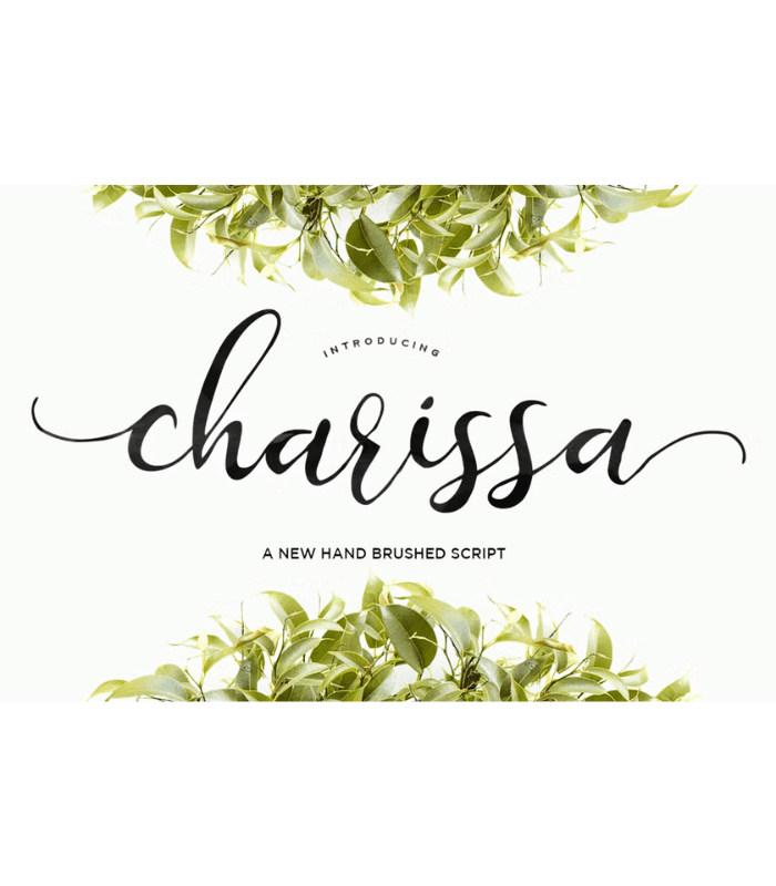 Photo Standart Size (9) Charissa Script Font - Image 1