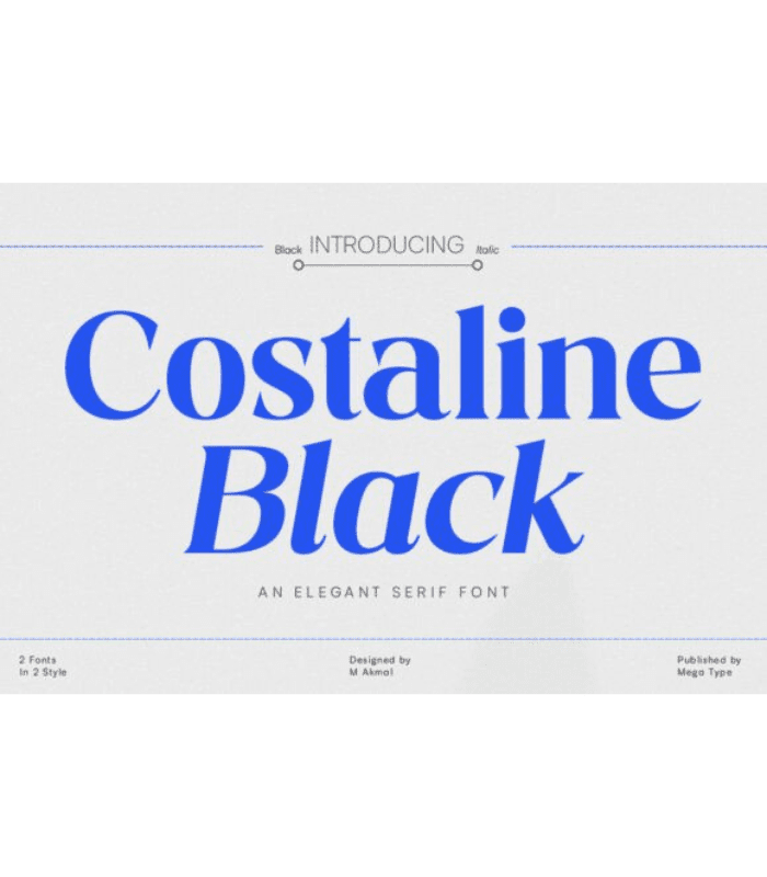 Photo Standart Size (9) Costaline Black Font - Image 1